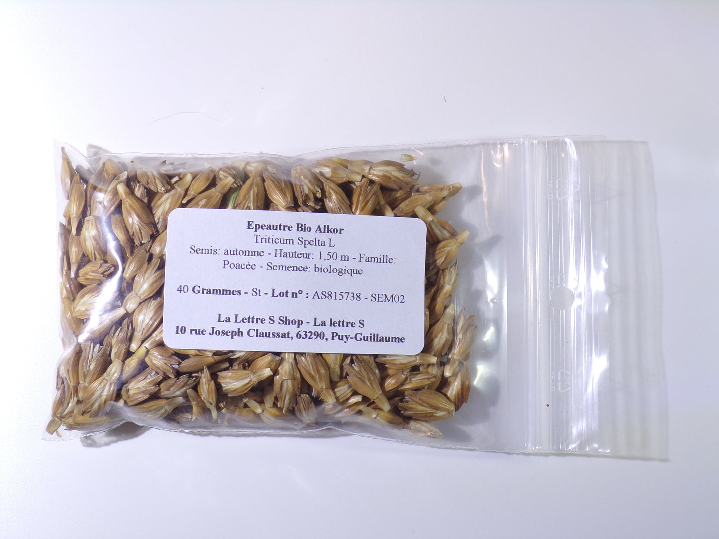 Épeautre Bio - Triticum Spelta L