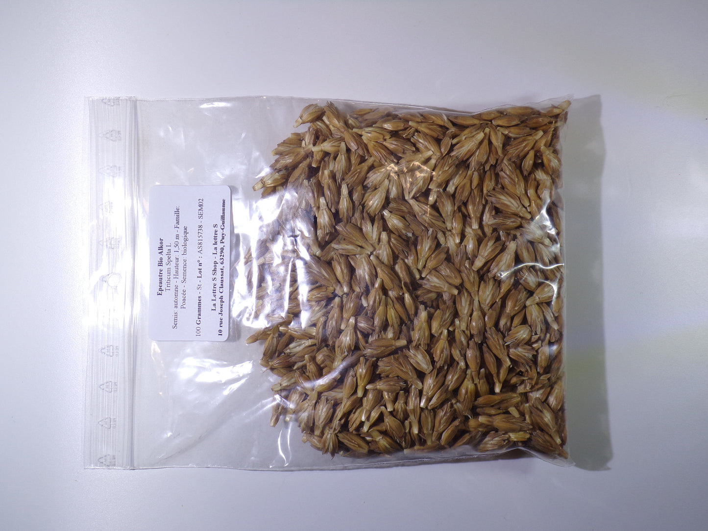 Épeautre Bio - Triticum Spelta L
