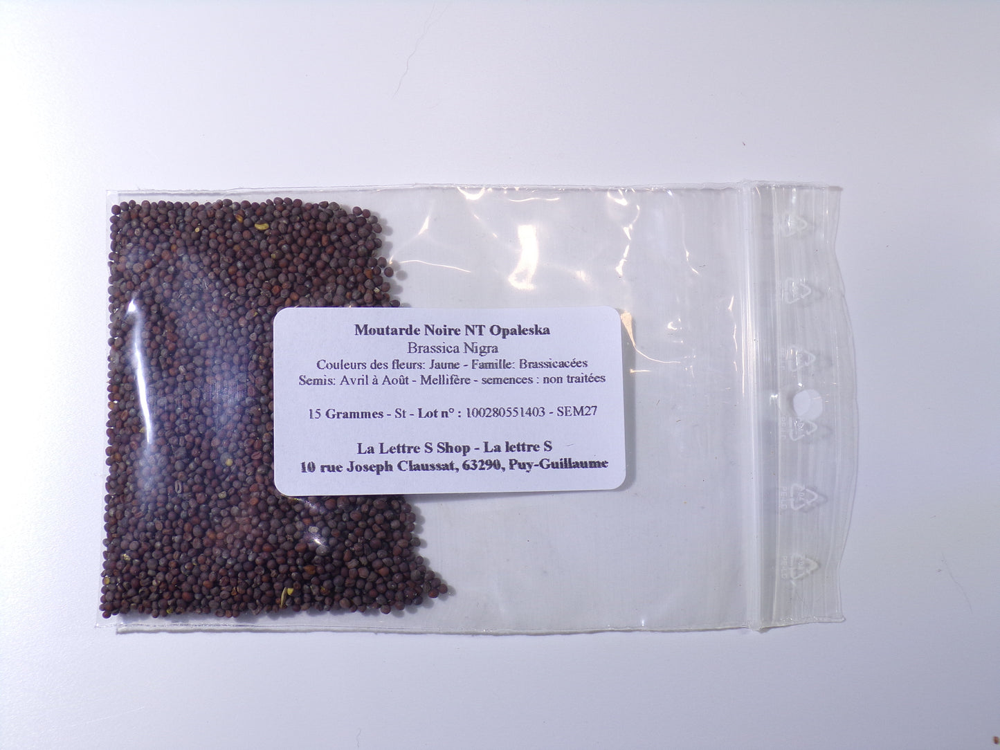 Moutarde Noire NT - Brassica Nigra (Engrais Vert) SEM27