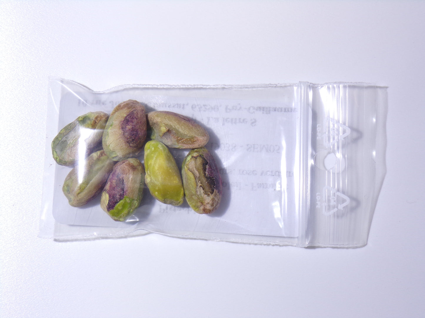 Pistachier - Pistacia Vera -  SEM05