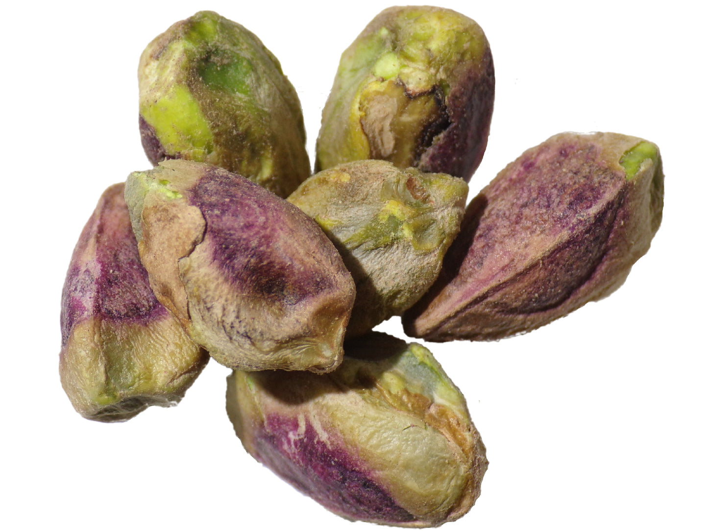 Pistachier - Pistacia Vera -  SEM05