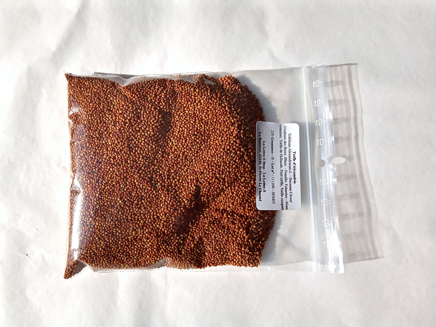 Trèfle d'Alexandrie - Trifolium Alexandrinum L. (Engrais Vert) SEM05