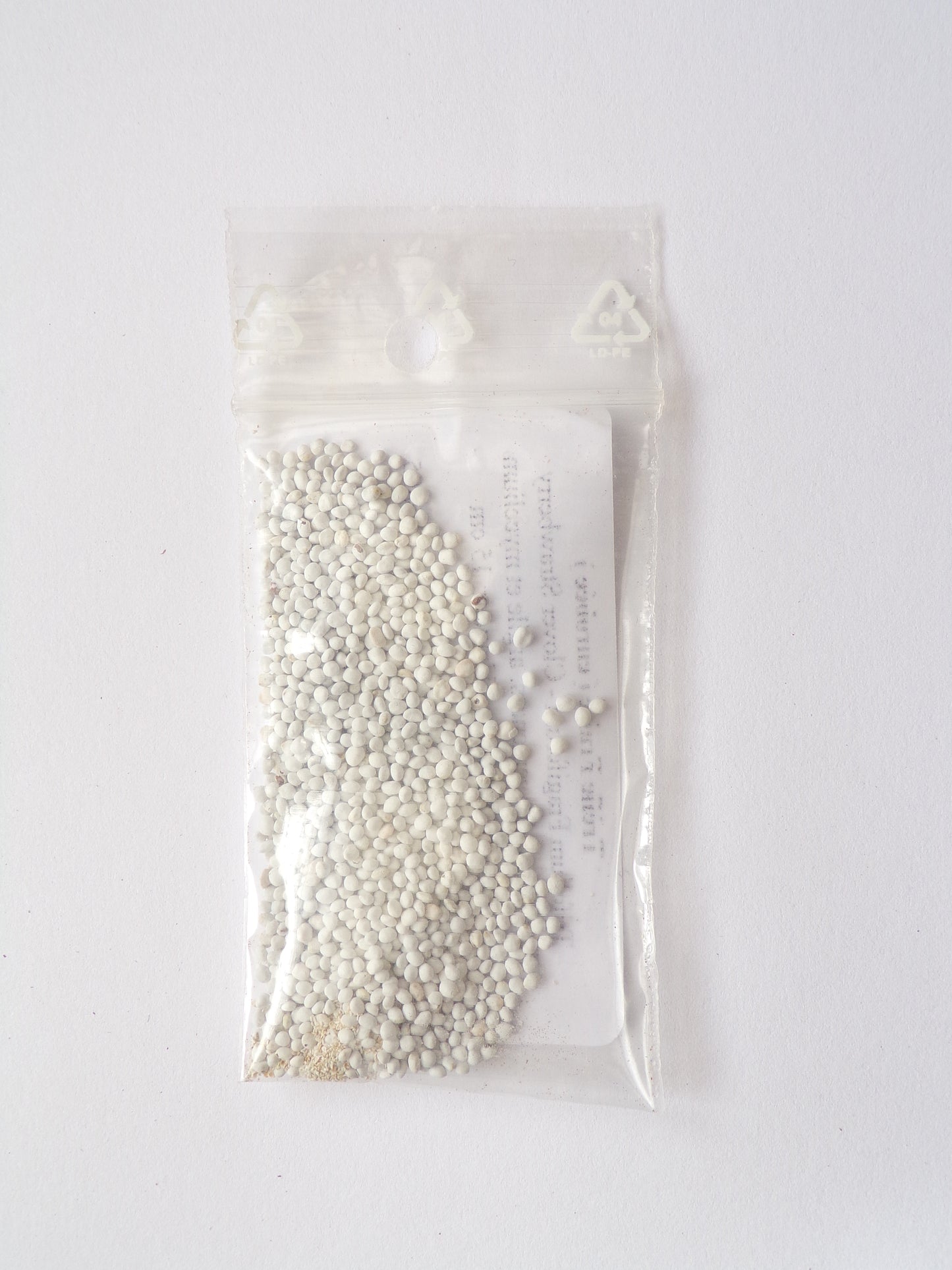 Trèfle Fraise (enrobée) - Trifolium Fragiferum (Engrais Vert) SEM05