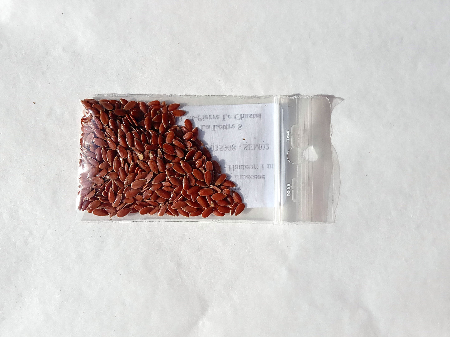 Lin Bleu - Linum Usitatissimum L. (Engrais Vert) SEM02