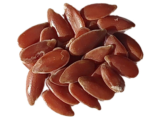 Lin Bleu - Linum Usitatissimum L. (Engrais Vert) SEM02