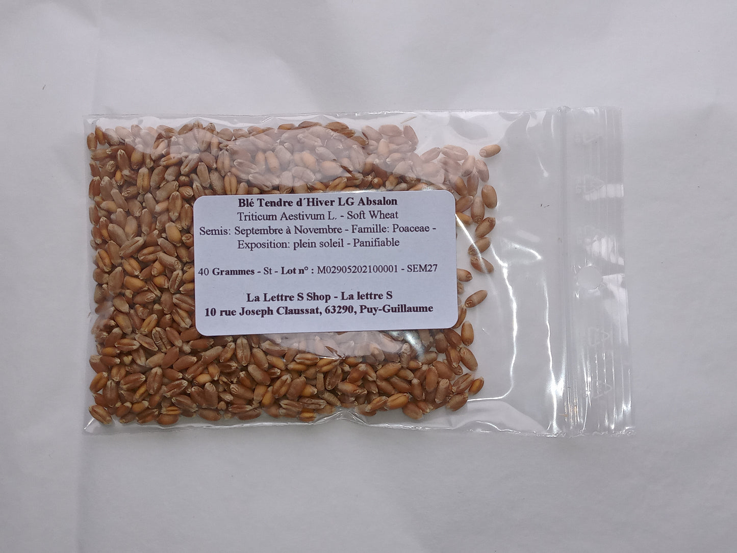 Blé Tendre d´Hiver - Triticum Aestivum L. - SEM27