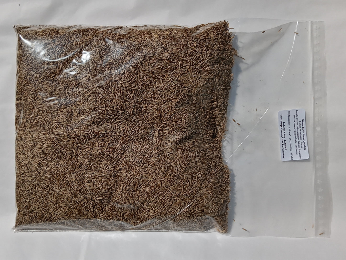 Fétuque Elevée - Festuca Arundinacea (Engrais Vert) SEM14