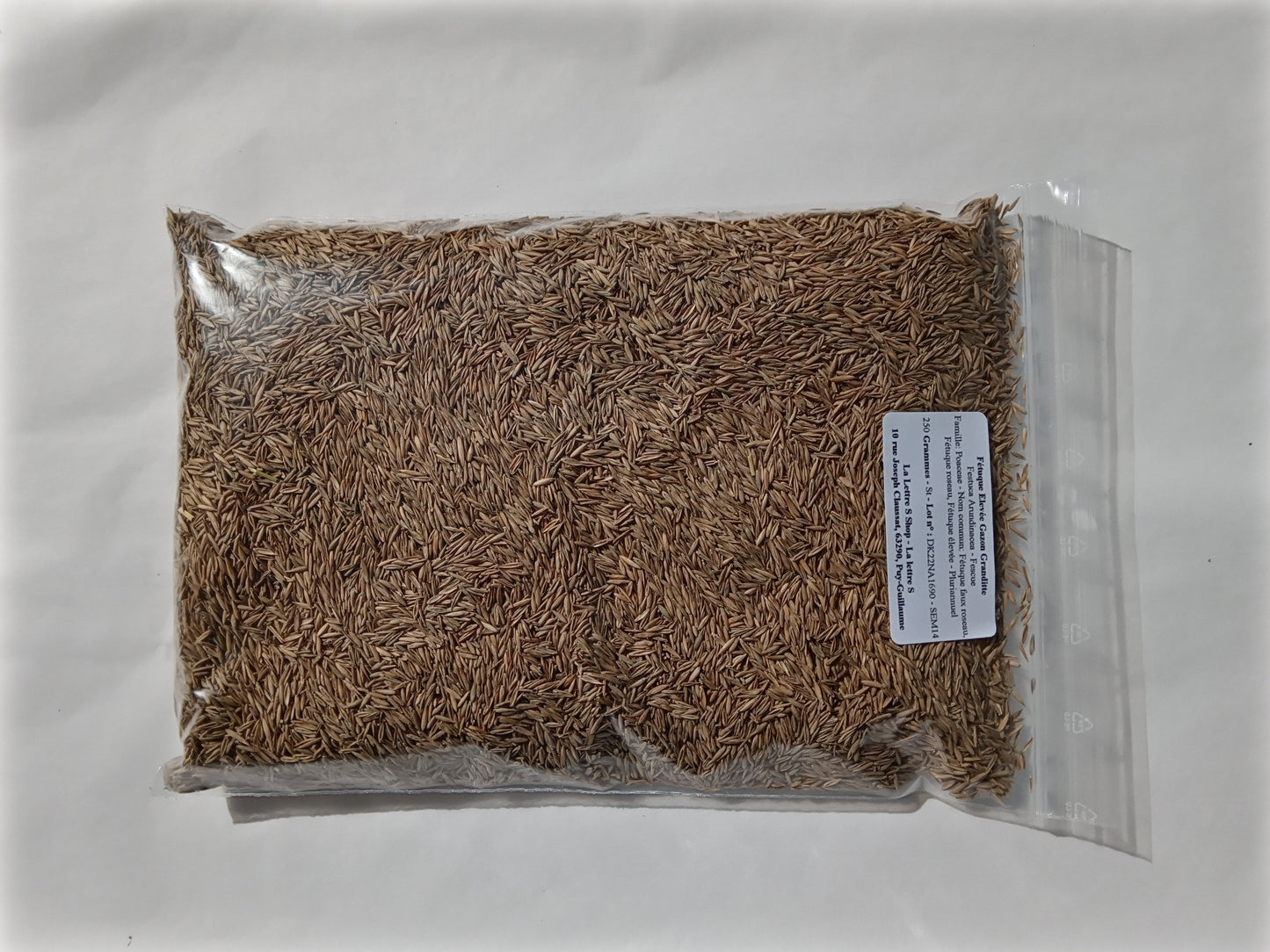 Fétuque Elevée - Festuca Arundinacea (Engrais Vert) SEM14