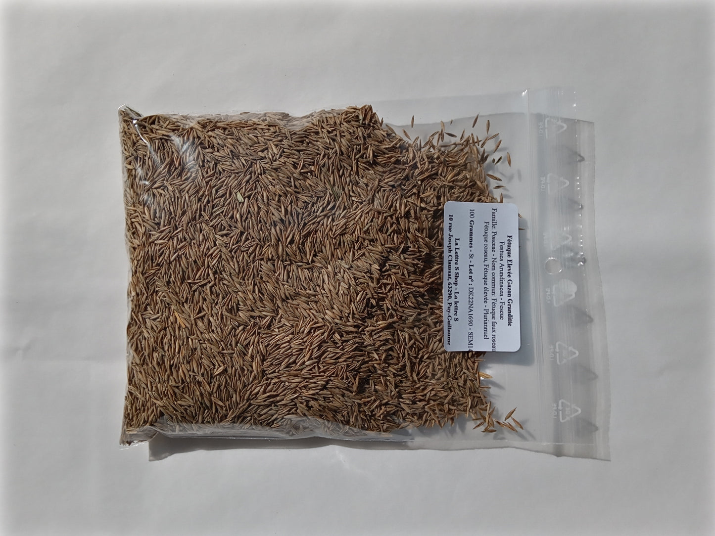 Fétuque Elevée - Festuca Arundinacea (Engrais Vert) SEM14