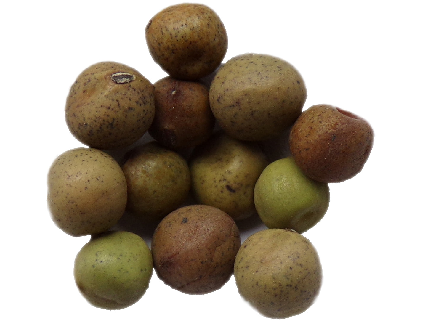 Pois Protéagineux AB - Pisum Sativum
